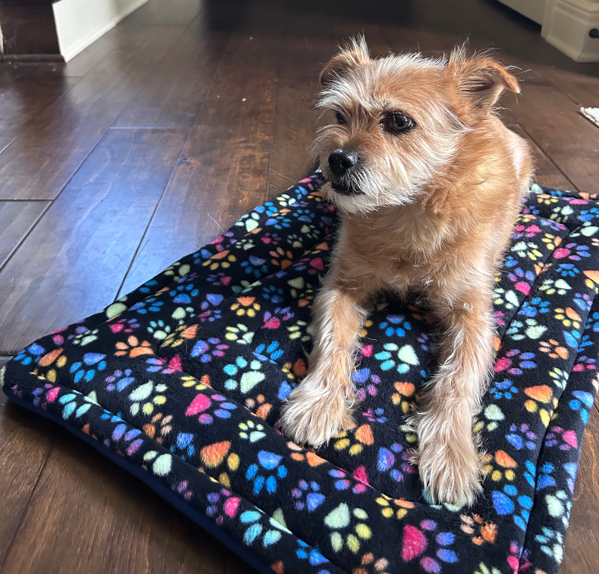 A small tan dog sits on a rectangular pet bed with a black background and colorful paw-print pattern, placed on a dark wood floor.